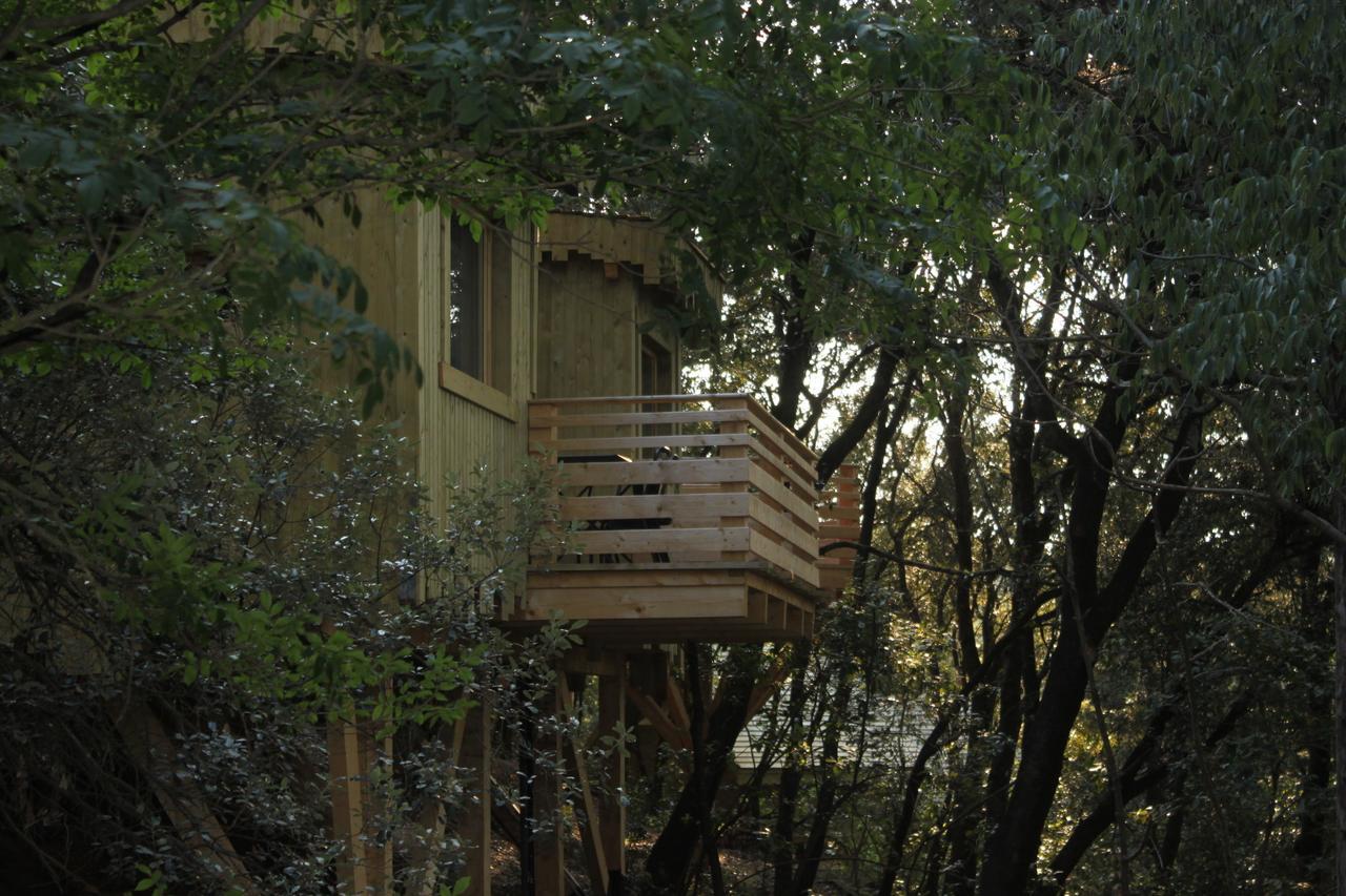 Les Cabanes Dans Les Bois Logis Hotel Villedubert Room photo