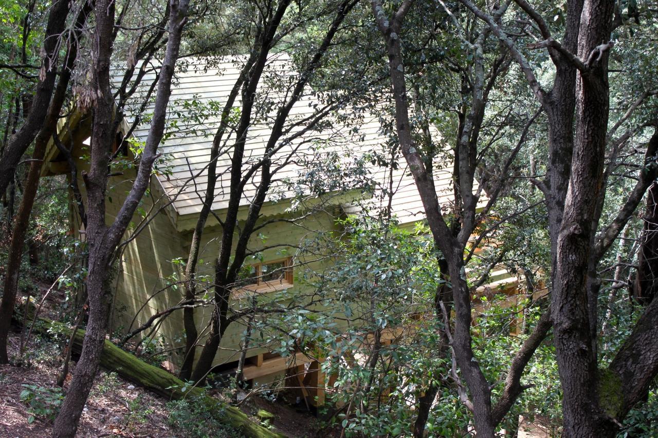 Les Cabanes Dans Les Bois Logis Hotel Villedubert Exterior photo