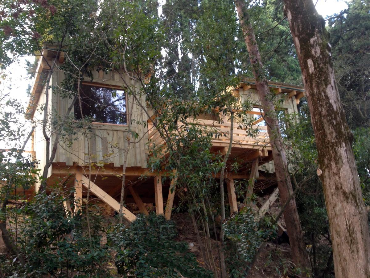 Les Cabanes Dans Les Bois Logis Hotel Villedubert Room photo