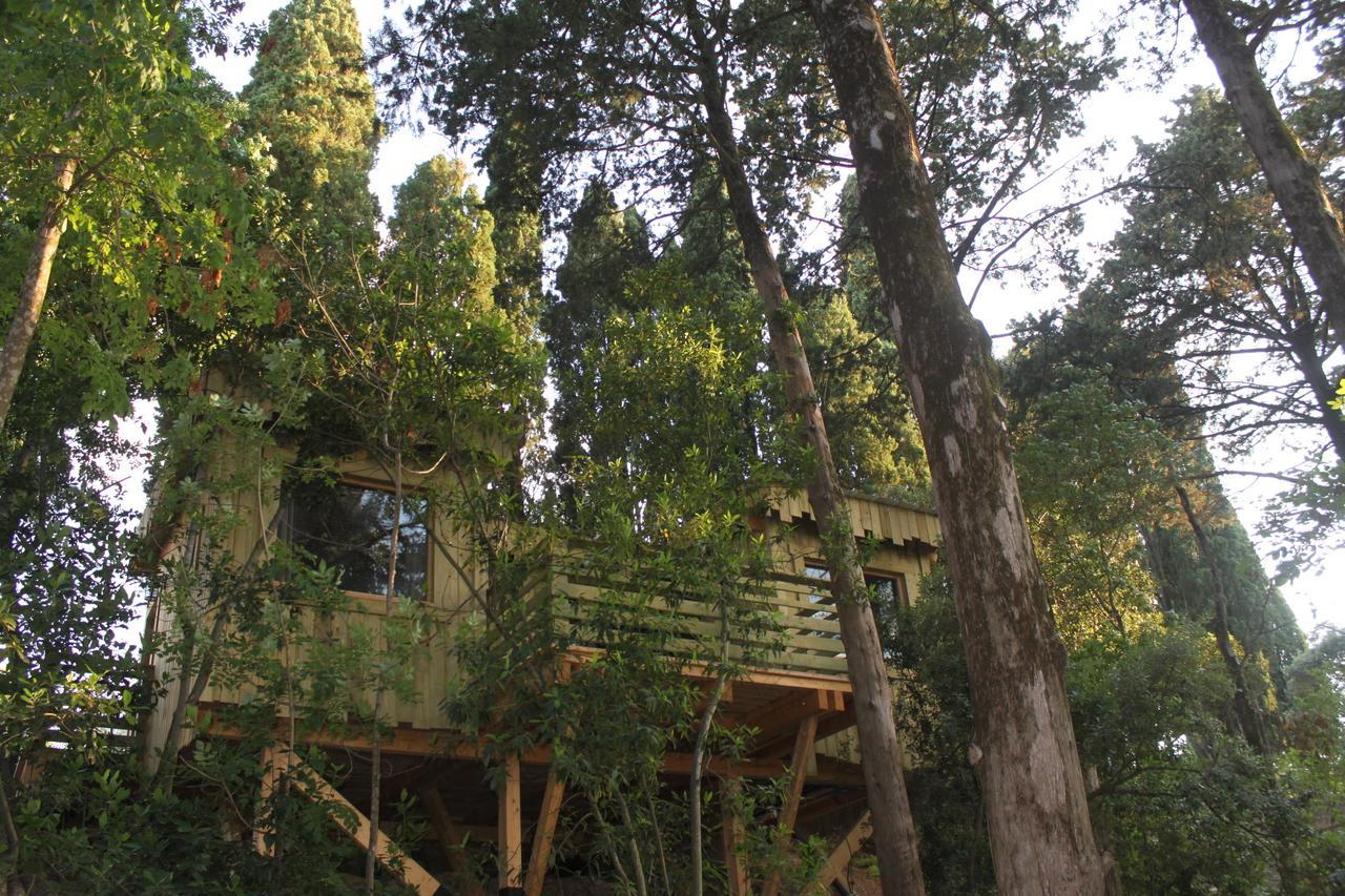 Les Cabanes Dans Les Bois Logis Hotel Villedubert Room photo