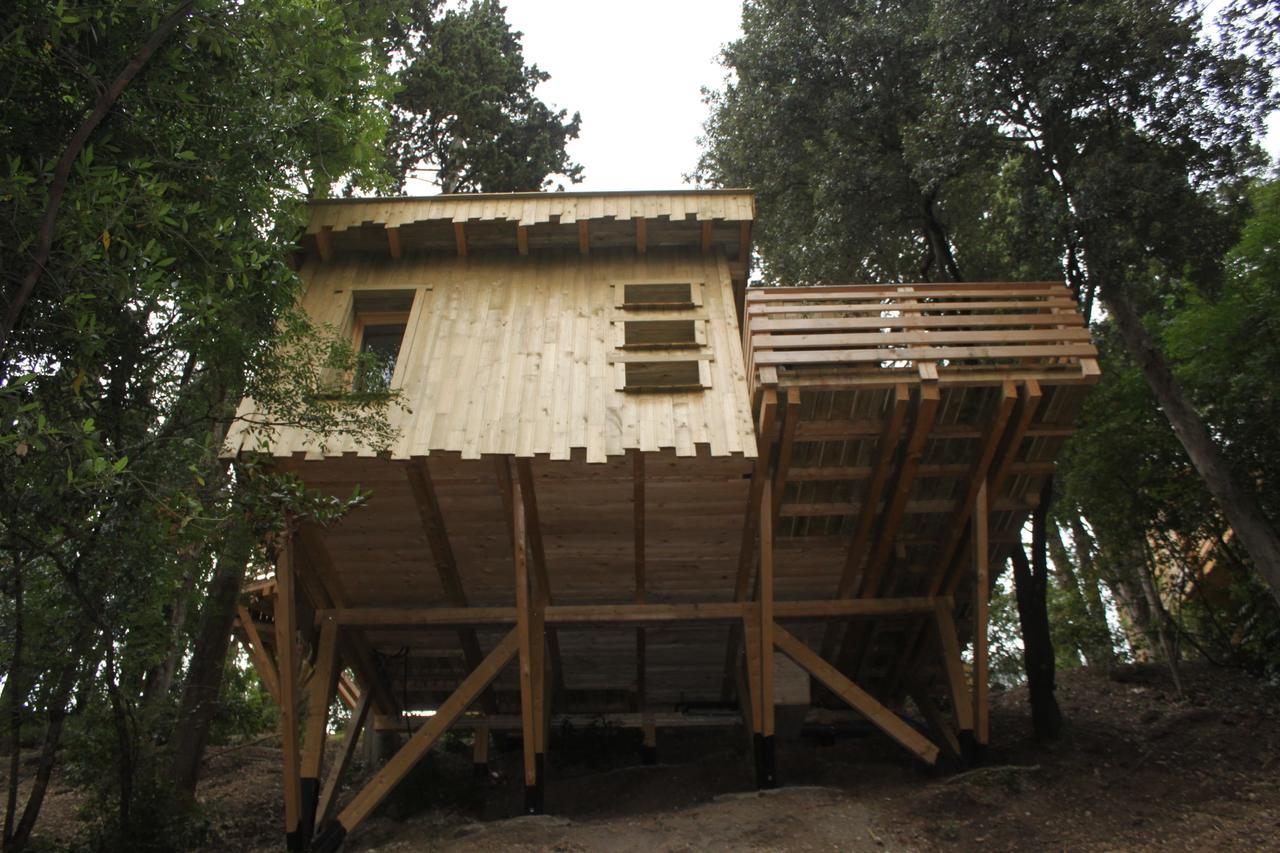 Les Cabanes Dans Les Bois Logis Hotel Villedubert Room photo