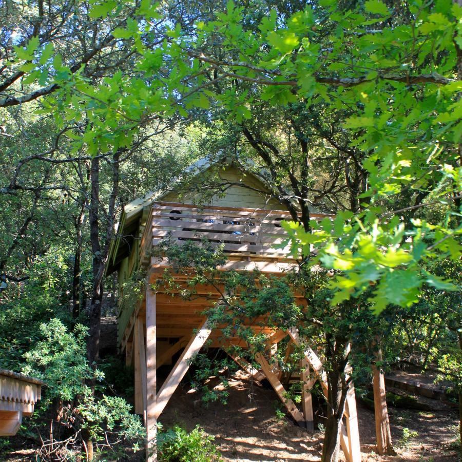 Les Cabanes Dans Les Bois Logis Hotel Villedubert Room photo