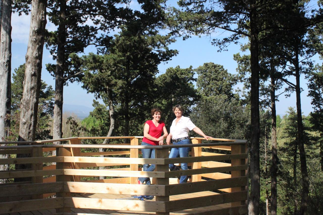 Les Cabanes Dans Les Bois Logis Hotel Villedubert Exterior photo